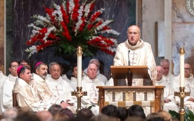 Cardinal McElroy Calls for Solidarity with Migrants Lacking Legal Status