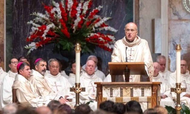 Cardinal McElroy Calls for Solidarity with Migrants Lacking Legal Status
