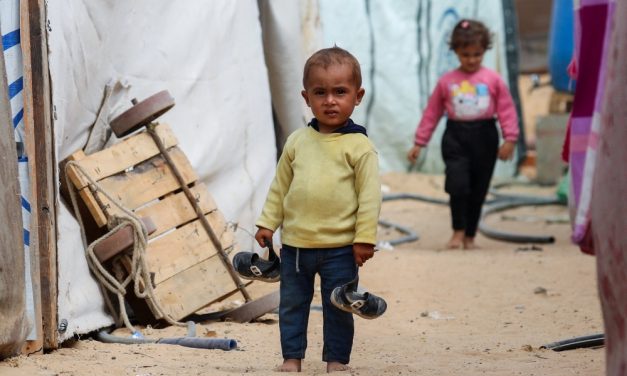 Cardinal Welcomes Gaza Ceasefire Talks, Urges Perseverance