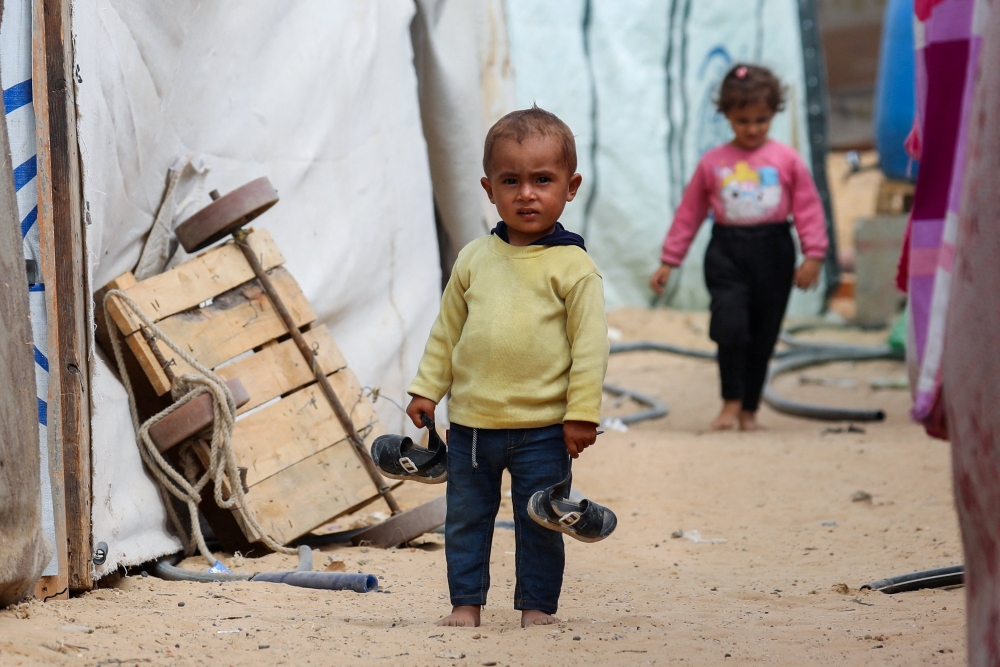 Cardinal Welcomes Gaza Ceasefire Talks, Urges Perseverance
