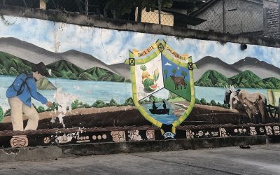 Third Sunday of Advent: A Maryknoll Reflection