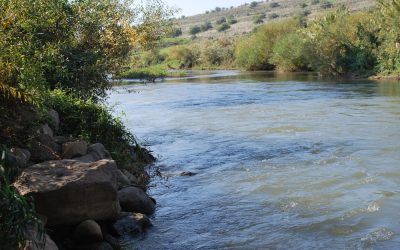 In Jesus’ Footsteps: A Maryknoll Reflection