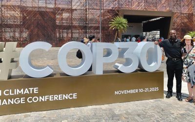 World Watch: Guardians of Creation