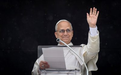 Persist in Praying for World Peace, Pope Says During Angelus