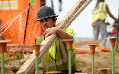 Mass Deportations Reduce Overall Employment in the US