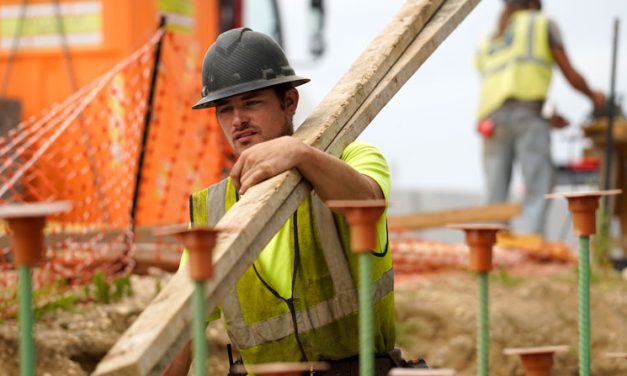 Mass Deportations Reduce Overall Employment in the US