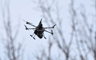 Disarm AI ‘for Humanity’s Sake,’ Pope Says