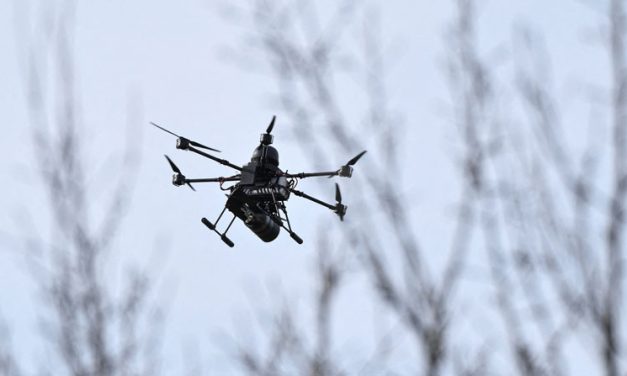 Disarm AI ‘for Humanity’s Sake,’ Pope Says