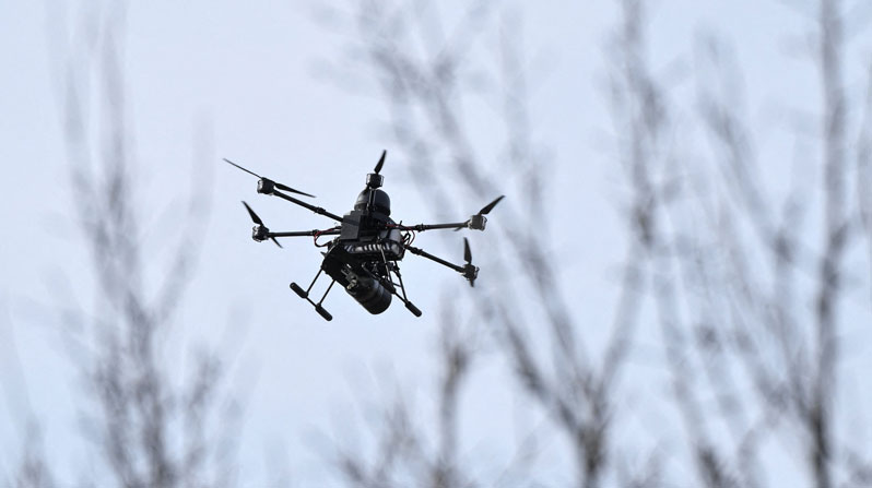 Disarm AI ‘for Humanity’s Sake,’ Pope Says