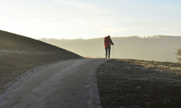 Being a Disciple: A Maryknoll Reflection