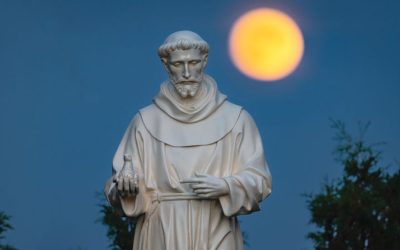 Saint Francis at 800 Years