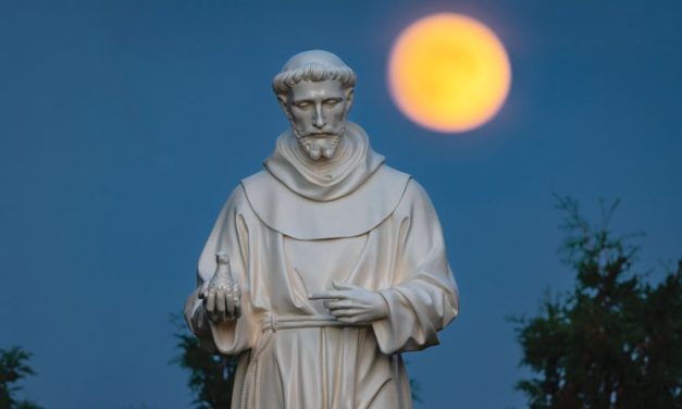 Saint Francis at 800 Years