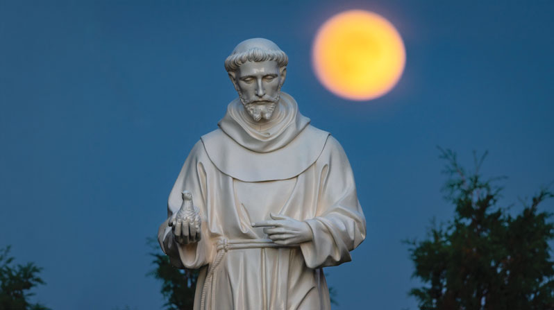 Saint Francis at 800 Years