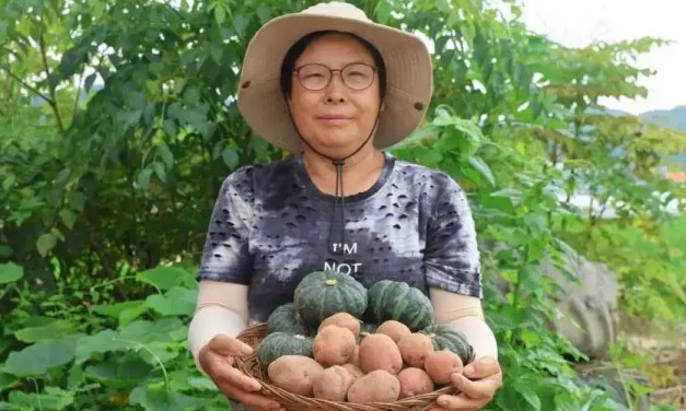 Korea’s Catholic Farmers Battle Climate Crisis