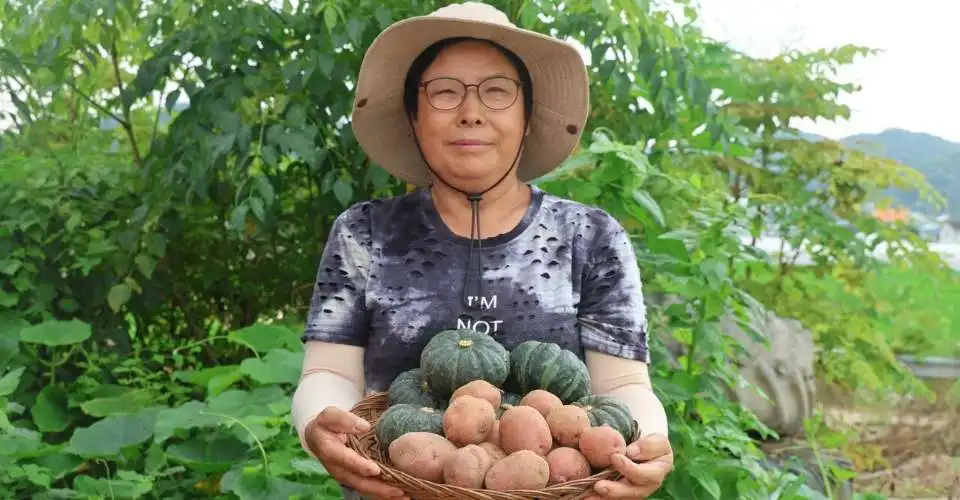 Korea’s Catholic Farmers Battle Climate Crisis
