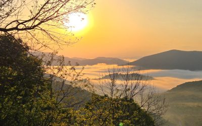 Message for the World Day of Prayer for the Care of Creation