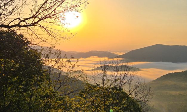 Message for the World Day of Prayer for the Care of Creation