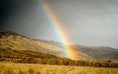 Our Creator’s Gift: A Maryknoll Reflection