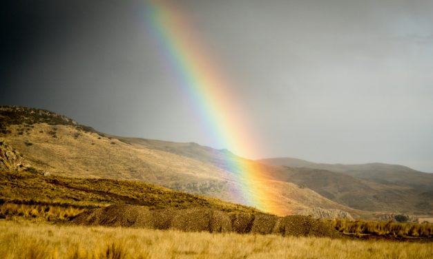 Our Creator’s Gift: A Maryknoll Reflection