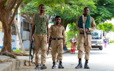 Church Leaders in Ethiopia Echo Papal Peace Call as War Returns to Tigray