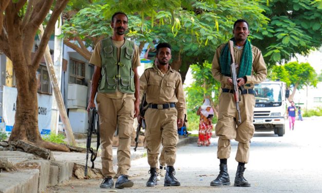 Church Leaders in Ethiopia Echo Papal Peace Call as War Returns to Tigray