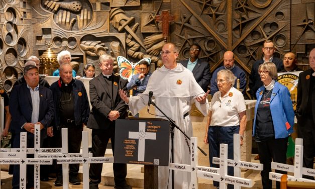 Immigrant Crosses Memorialize ICE Deaths