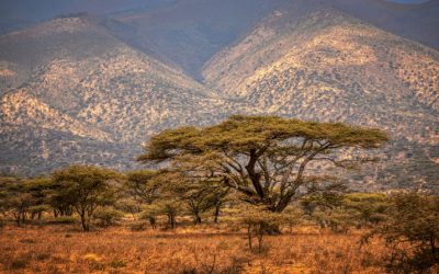 Not Losing Heart: A Maryknoll Reflection