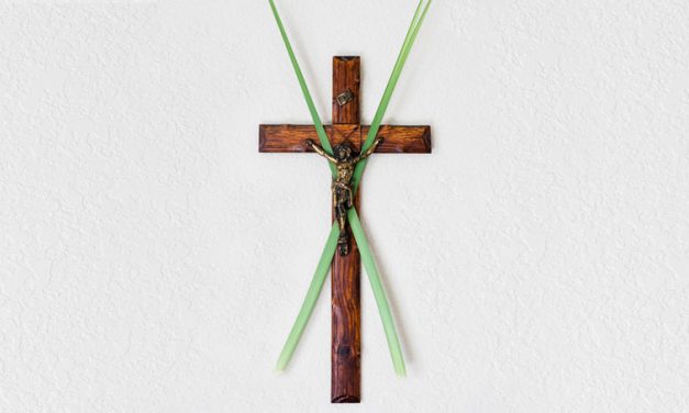 Maryknoll Reflection on Palm Sunday